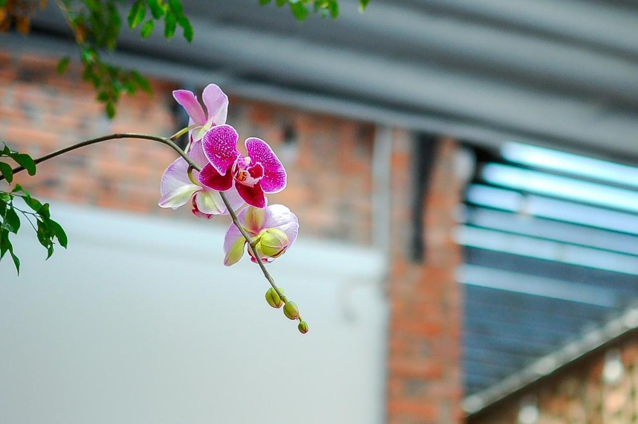 Chi Homestay #4 Hue Bagian luar foto